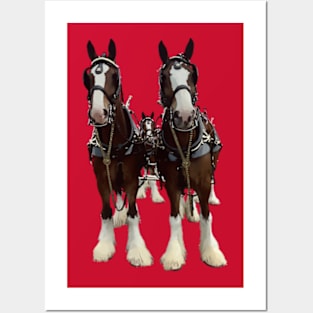 Clydesdales Posters and Art